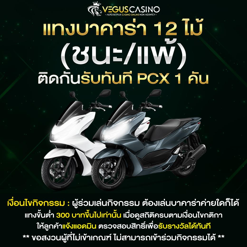 Betflix Zoo เว็บคาสิโนออนไลน์ยอดนิยม เอาใจสายเกมไทยเต็มอิ่มเข้าสนุกมั่นใจ