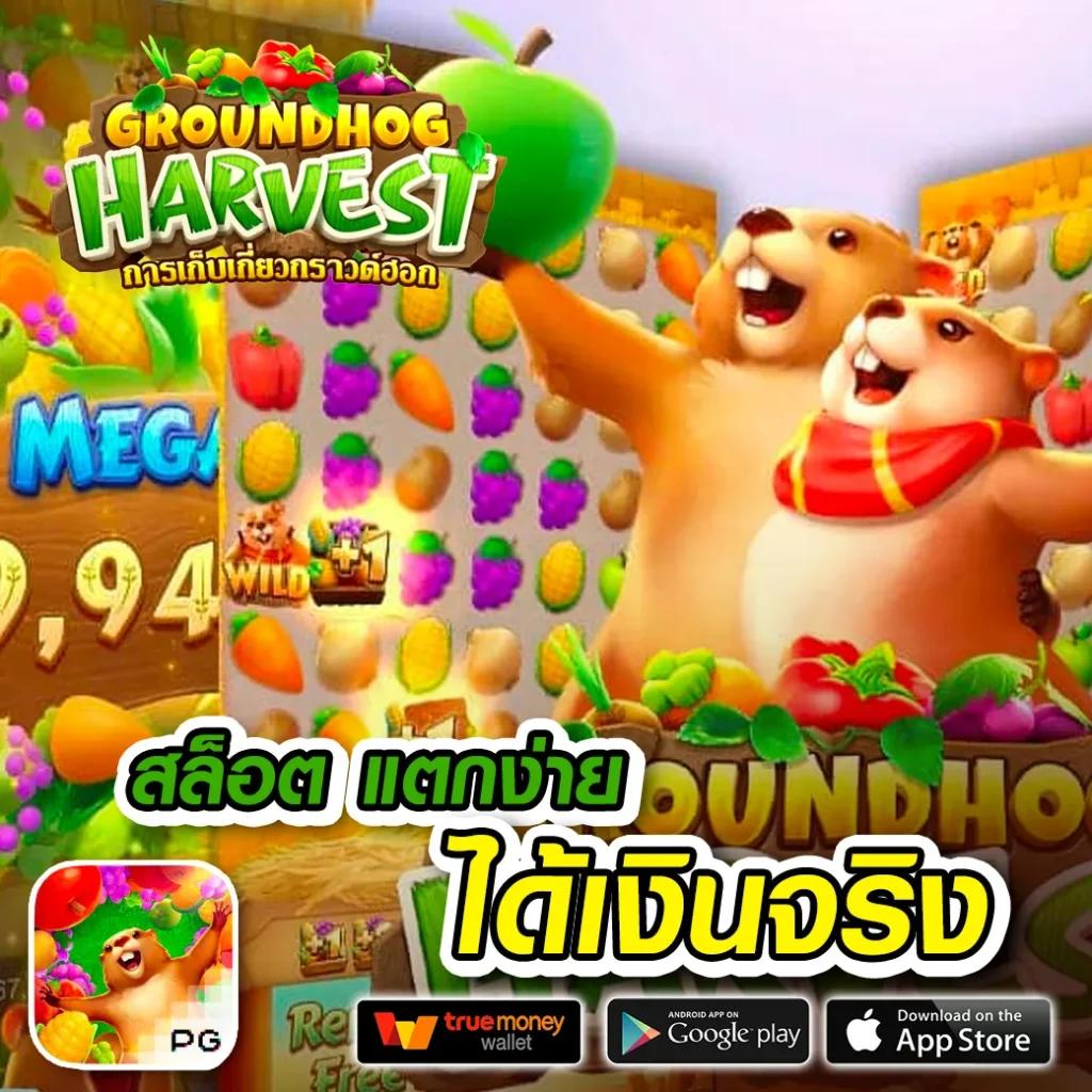 Jackpot 777 แพลตฟอร์มคาสิโนออนไลน์ยอดนิยม ระบบฝากถอนรวดเร็ว
