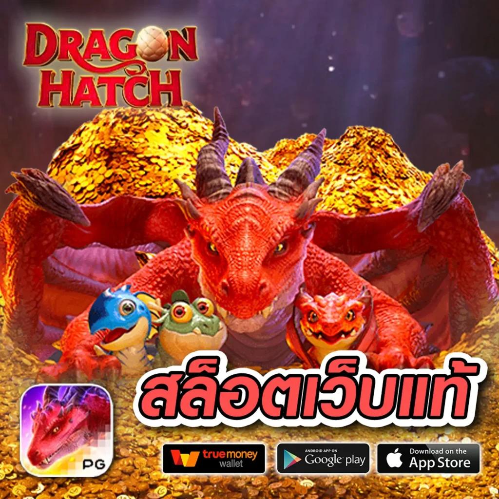 allslot8 คาสิโนครบวงจร ระบบทันสมัย สมัครง่าย รับโปรโมชั่นสุดคุ้ม