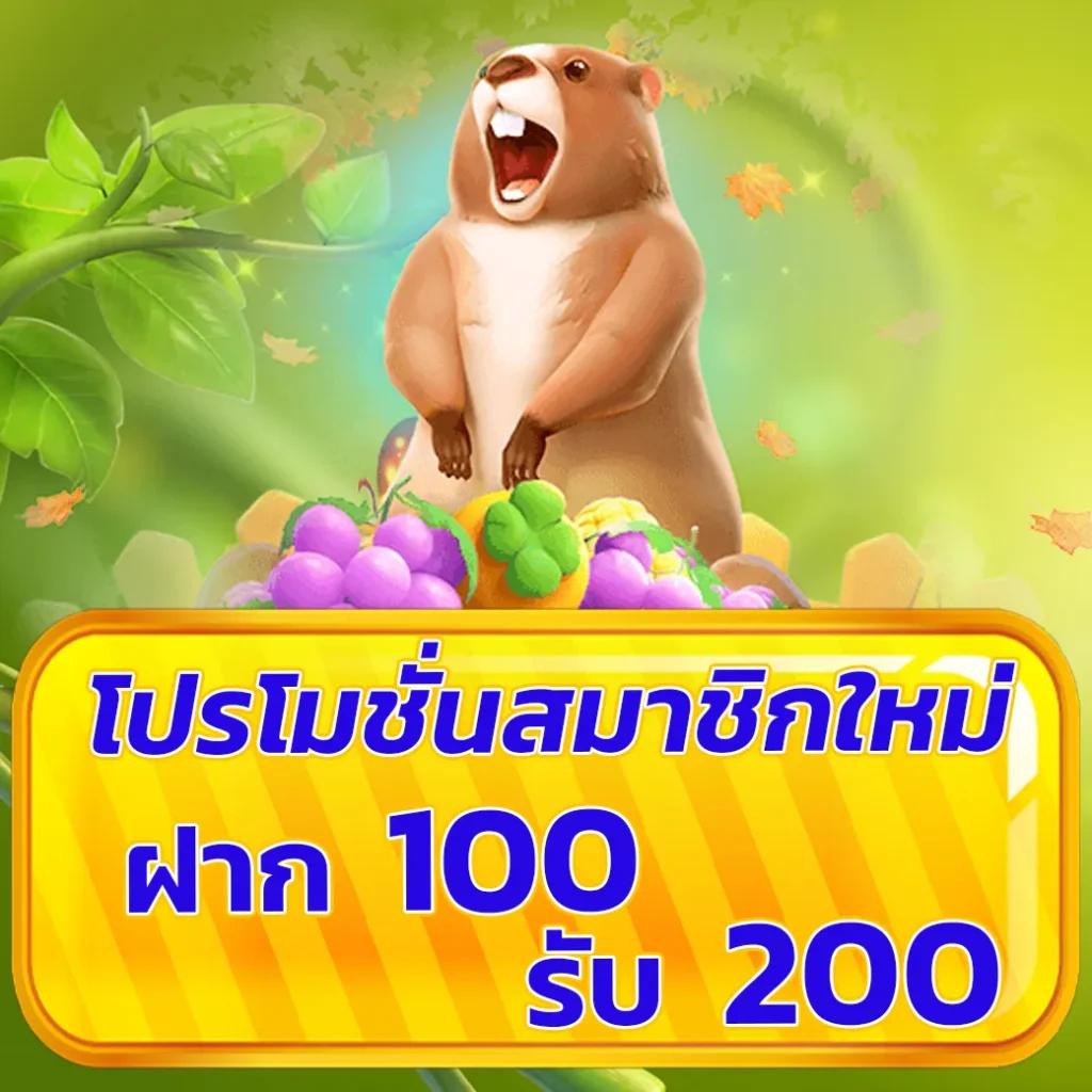 ผลบอลเมื่อคืน 888 รวมทุกลีก สดเรียลไทม์ไม่มีสะดุด
